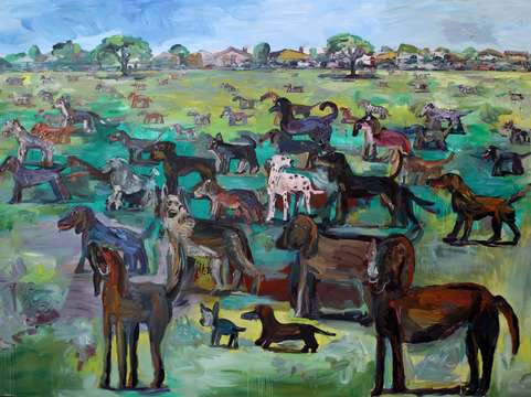 Dog Park