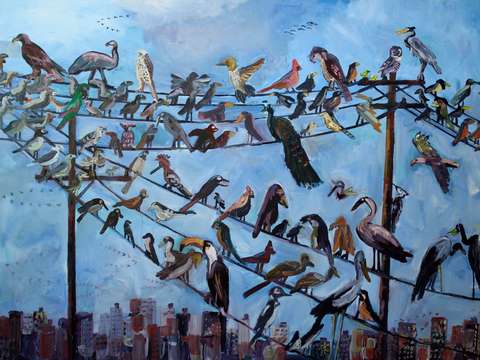 Birds on a wire 2