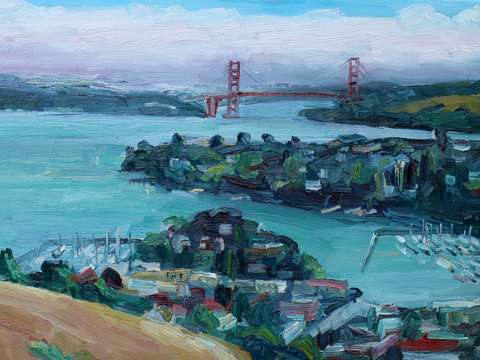Above tiburon