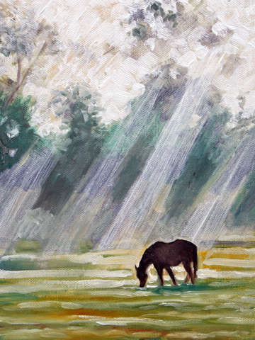 Pony in a misty field