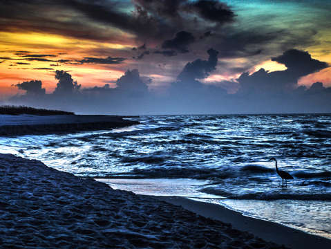 Stormy seas at beach with heron