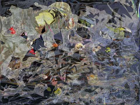 Pond life xv