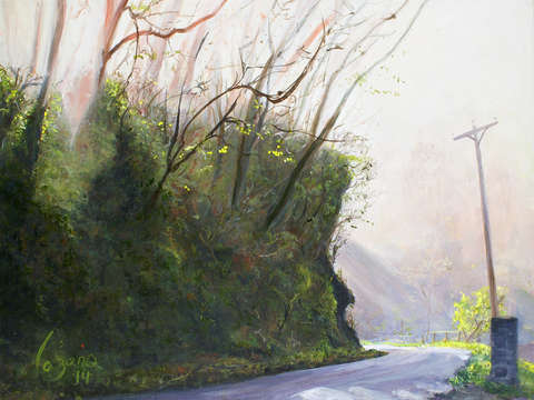 Morning mist 3