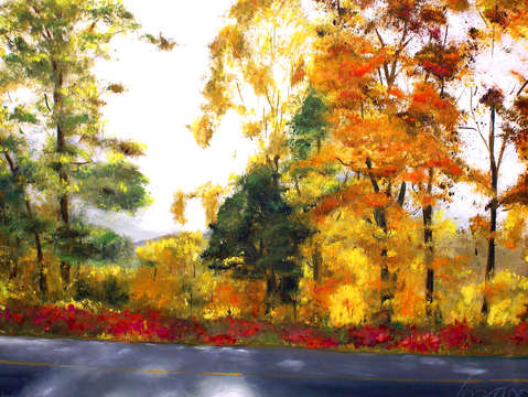 Autumn in amherst