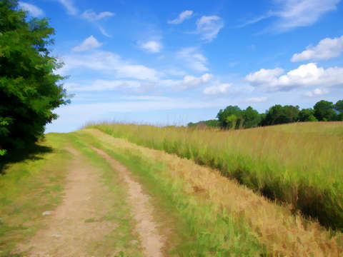 Prairie trail