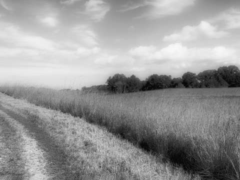 Prairie trail bw