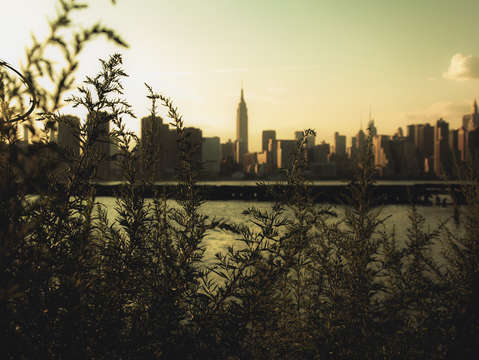 Concrete jungle
