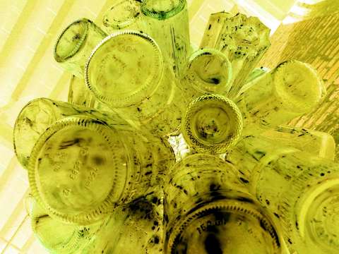 Bottles 2
