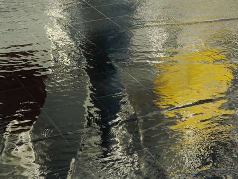 Under water 6
