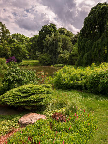The landscape of mt auburn cemetery