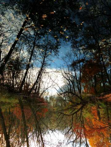 Beautiful reflection