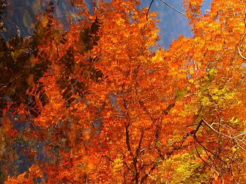 Reflection 2 2