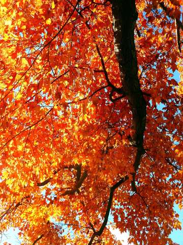 Looking up 2 2