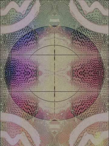 Cactuscompass