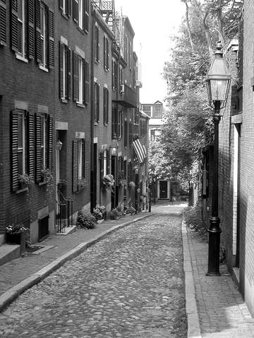 Acorn street 2