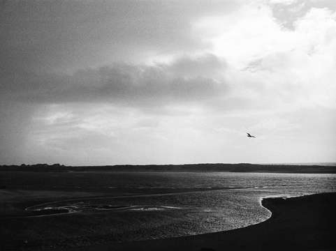 Siletz bay