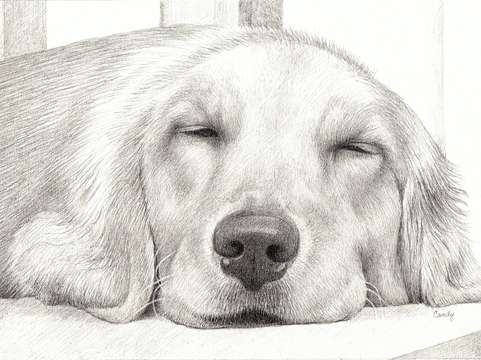 Naptime v