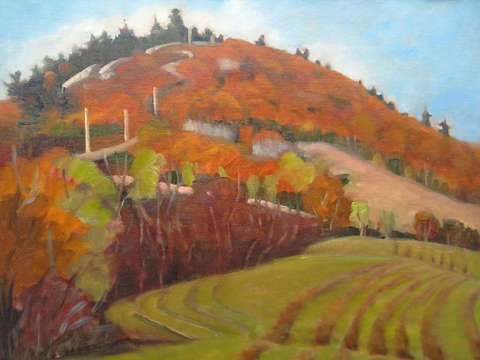 Mountain and Furrows
