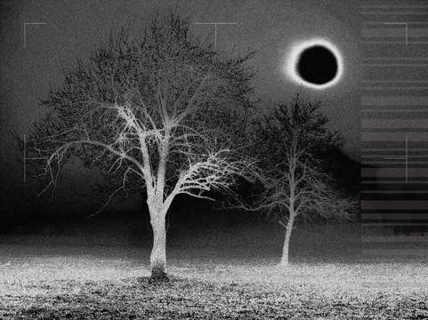 The black sun