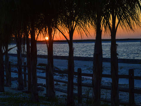 Orange sunrise blue trees