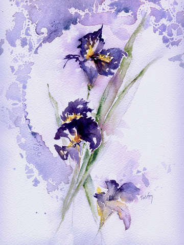Irises
