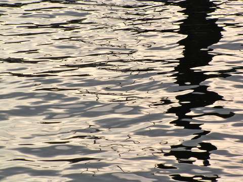 reflection