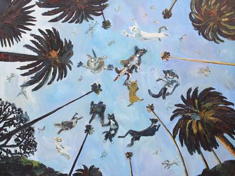 Raining cats and dogs