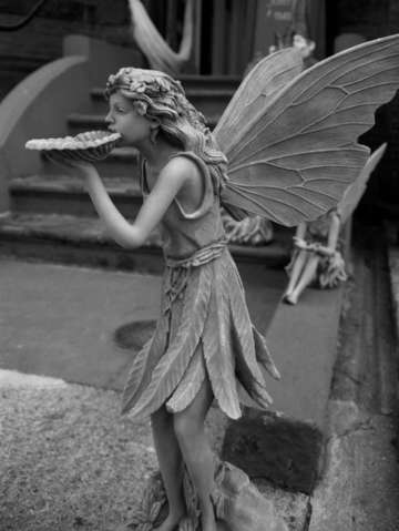 Random Fairy