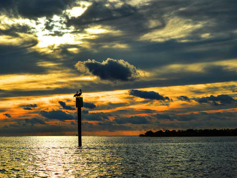 2 pelicans watching the sunset