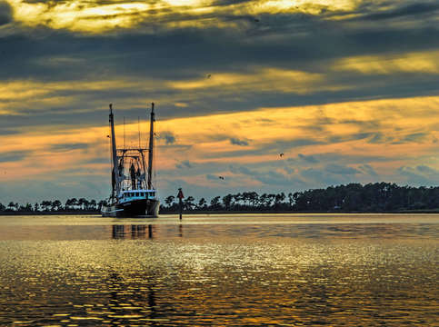 Our mother return to port