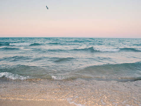Picture Yourself Here