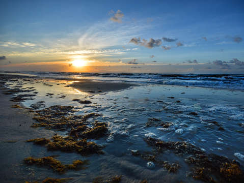 Beach debris sunrise