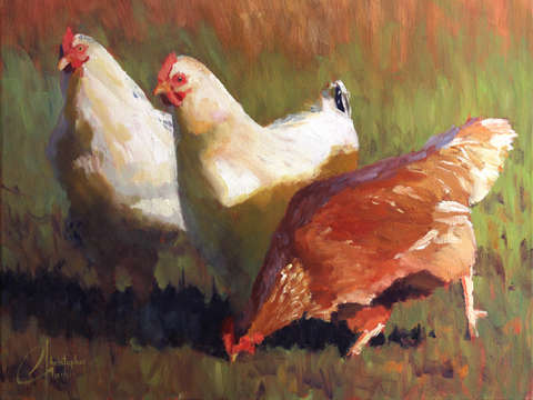 Chickens on Stone Meadow Farm