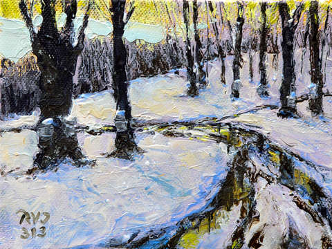 Muddy sugarbush
