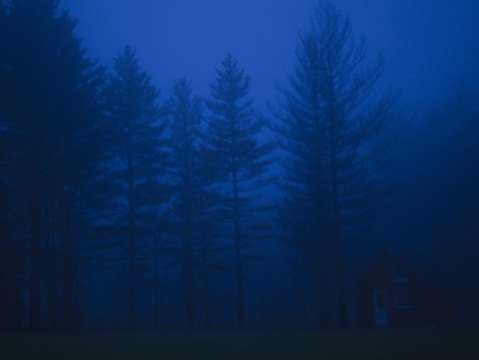 Foggy night