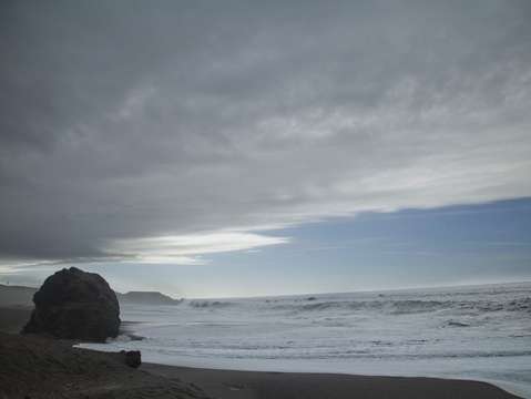 Bodega bay bluffs