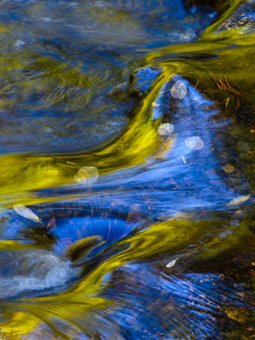 Fall reflection