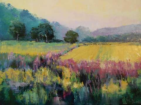 Wildflower meadow