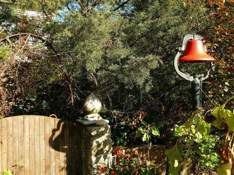 Red bell