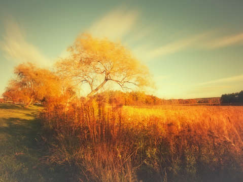 Golden hour autumn in maine