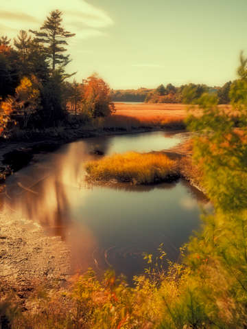 Autumn foliage pond coastal maine