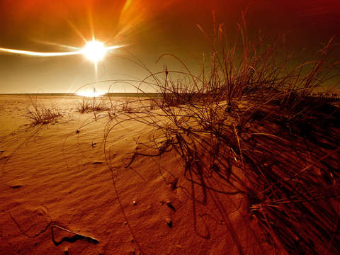 Orange bleached beach