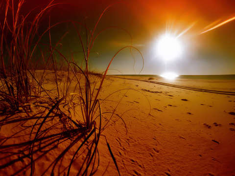 Orange bleached beach 2