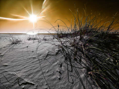 Bleached beach v2