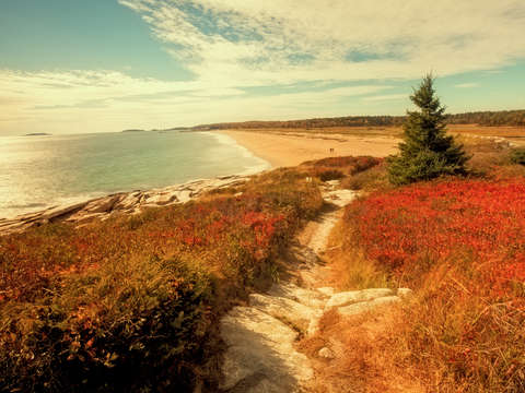 Maine beach