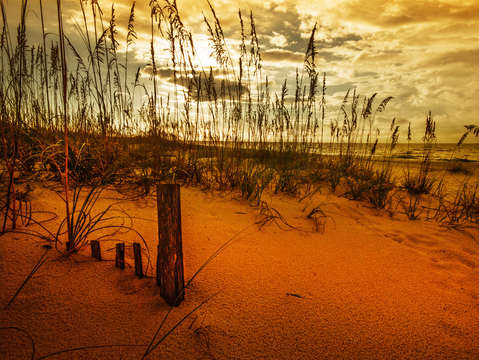Post in the sand