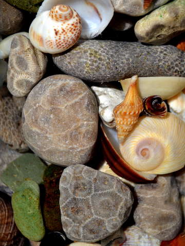 Petoskey stones ll