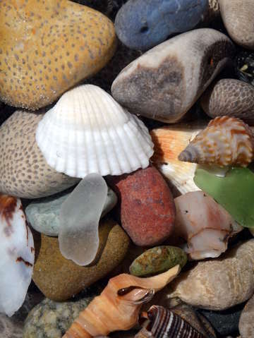 Petoskey stones lv