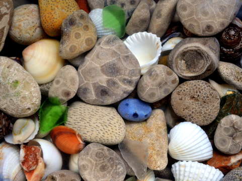 Petoskey stones lll