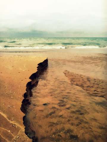 Shoreline serenity